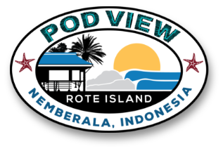 Pod View logo